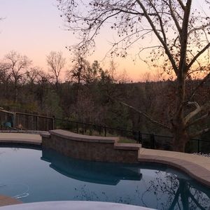 Meet your Posher, Jackson